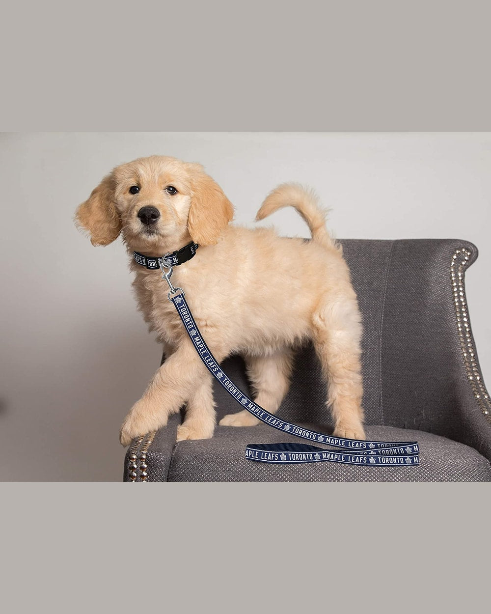 NHL DOG LEASH