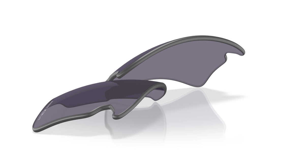 Oakley Flak 2.0 XXL Replacement Sunglass Lens - PRIZM GREY, angled view