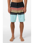 O'Neill Men's Lennox Stripe 21'' Boardshorts