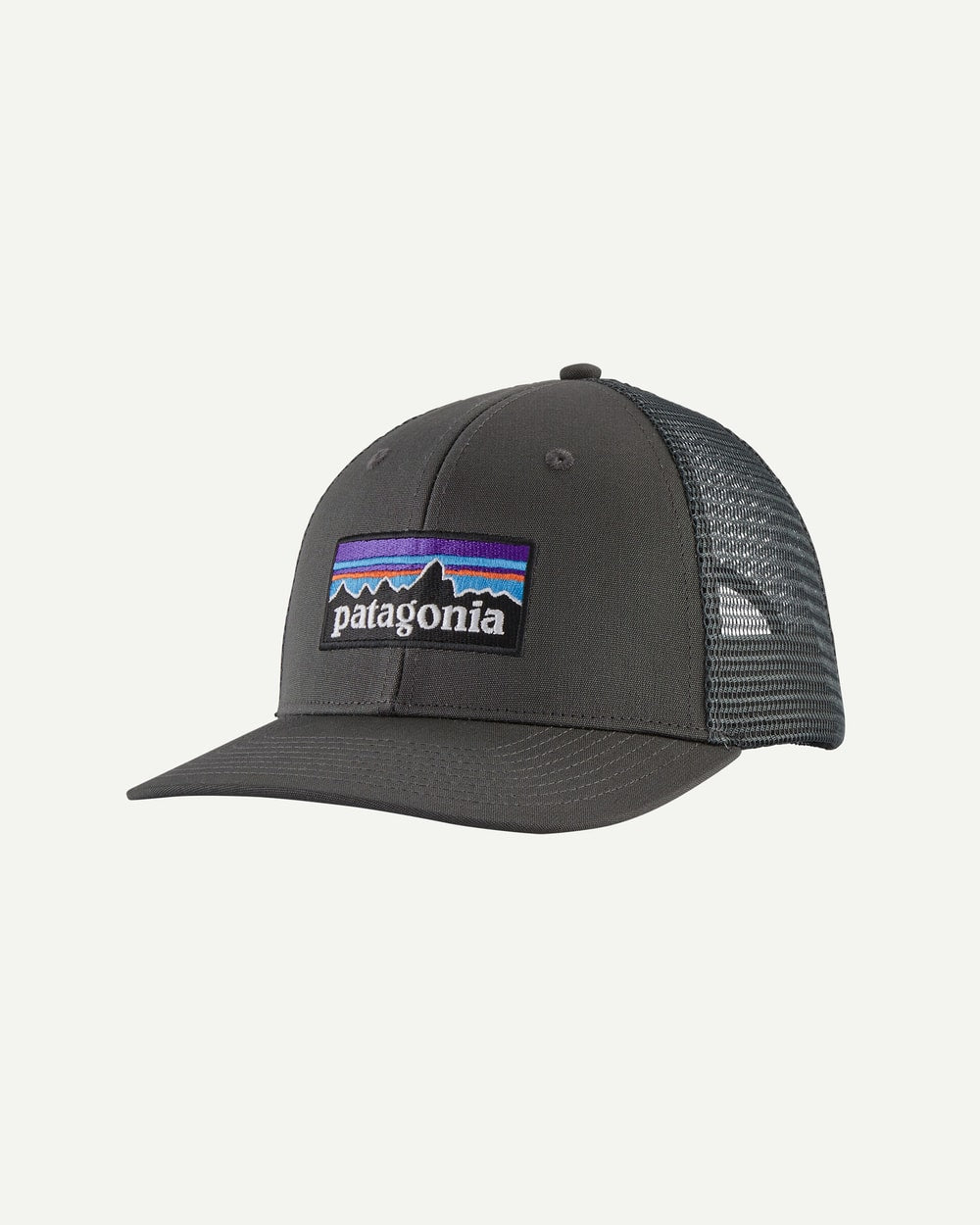 Patagonia P-6 Logo Trucker Hat