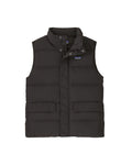 Patagonia Men's Sisar Down Vest