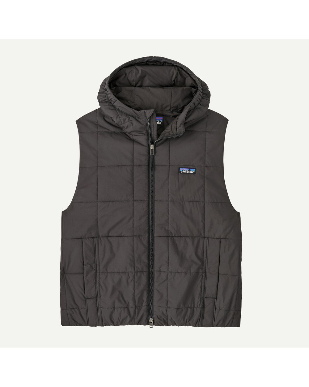 Patagonia Women's Light Gust Hooded Vest