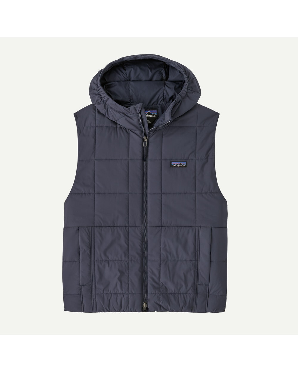 Patagonia Women's Light Gust Hooded Vest