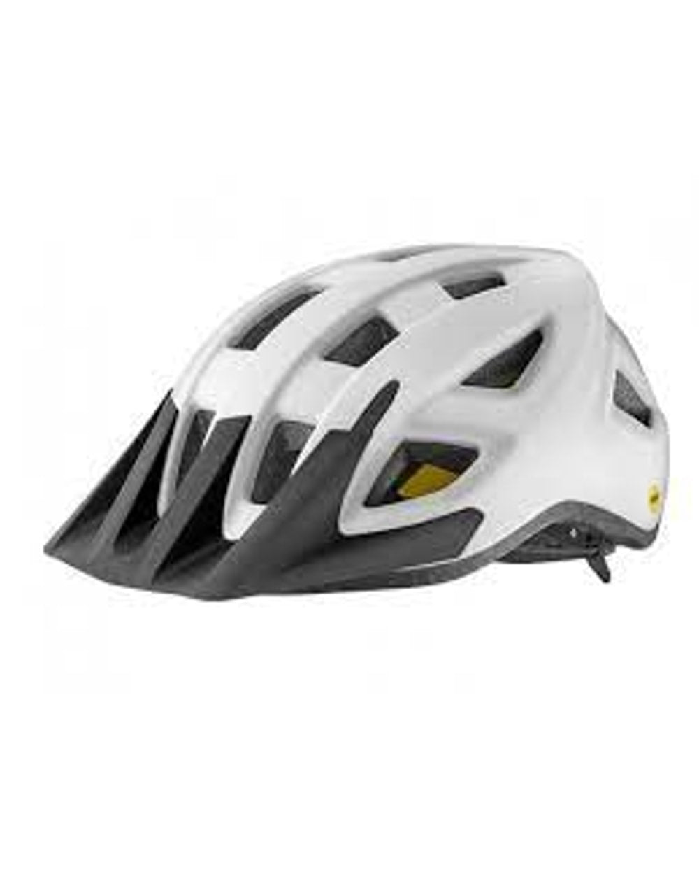Giant Path MIPS Helmet