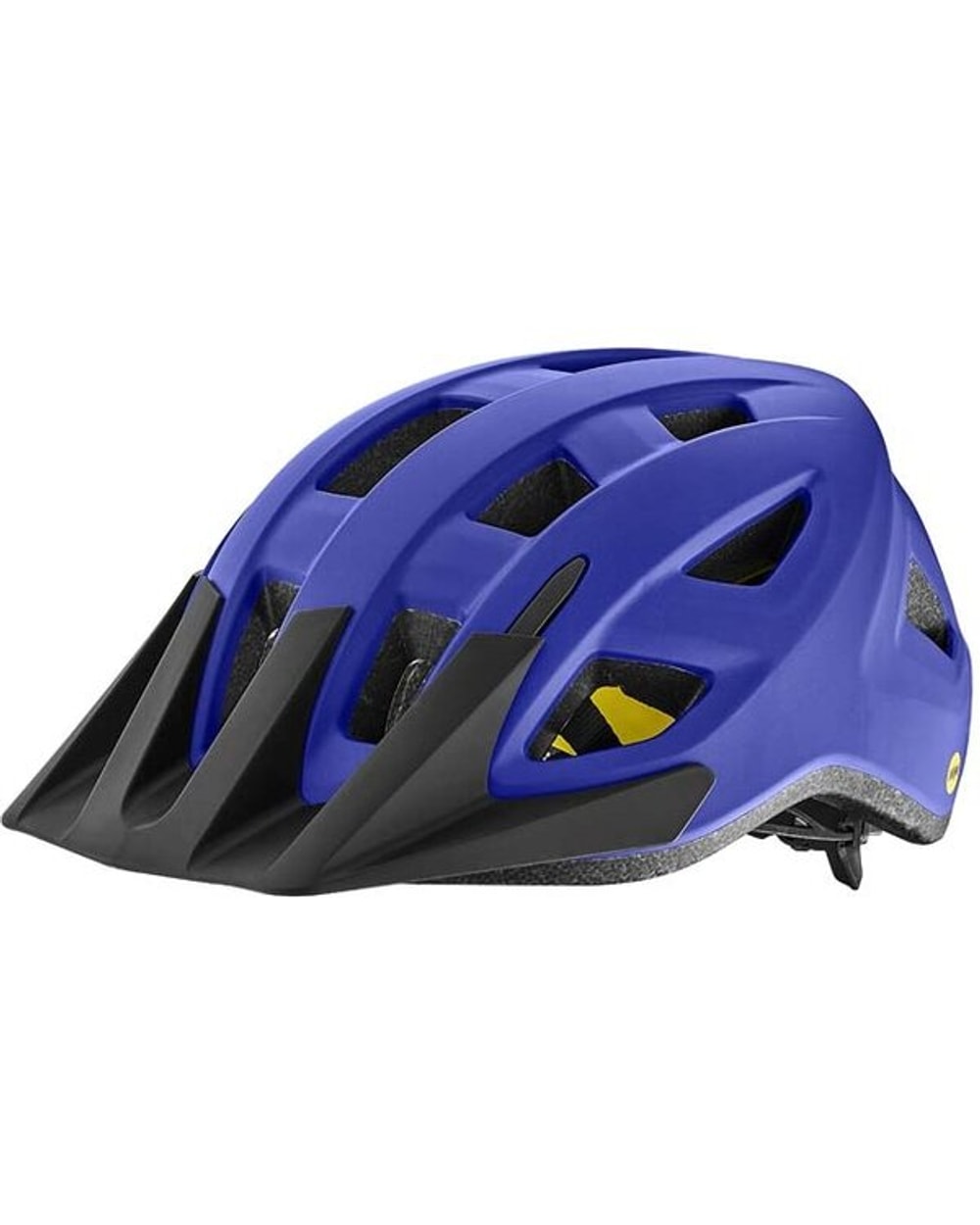 Giant Path MIPS Helmet
