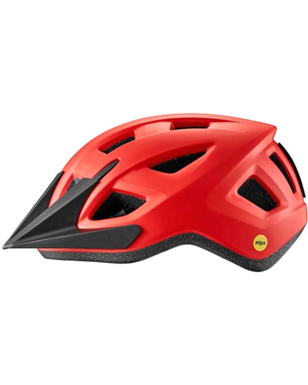 Giant Path MIPS Helmet