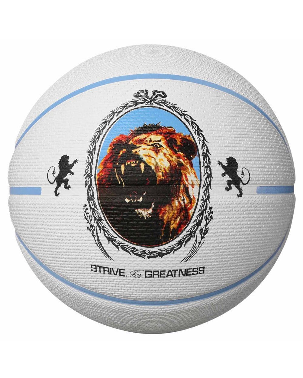 Nike Playground 2.0 Lebron James Basketball
