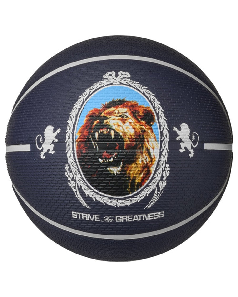 Nike Playground 2.0 Lebron James Basketball