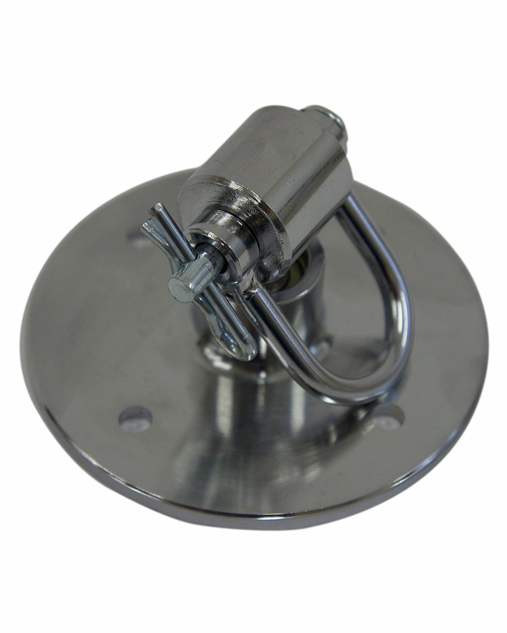 Everlast Pro Speed Bag Swivel