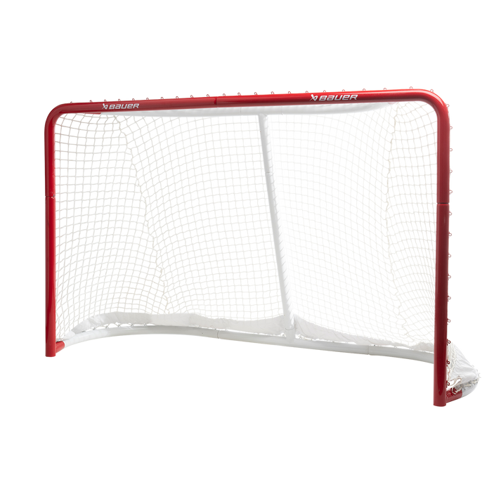 Professional Goal Net