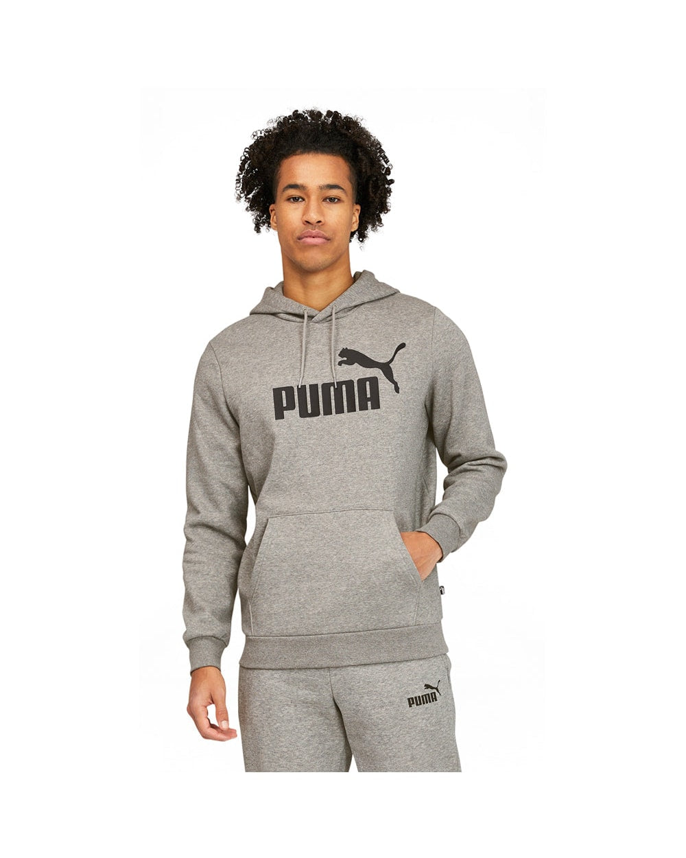 PUMA Essentials Big Logo Pullover Hoodie - Grey - front