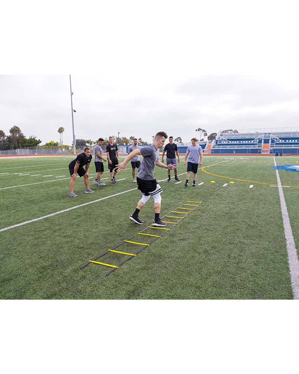 SKLZ Quick Ladder
