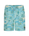 Quiksilver Surfsilk Mix Boys' Volley Shorts