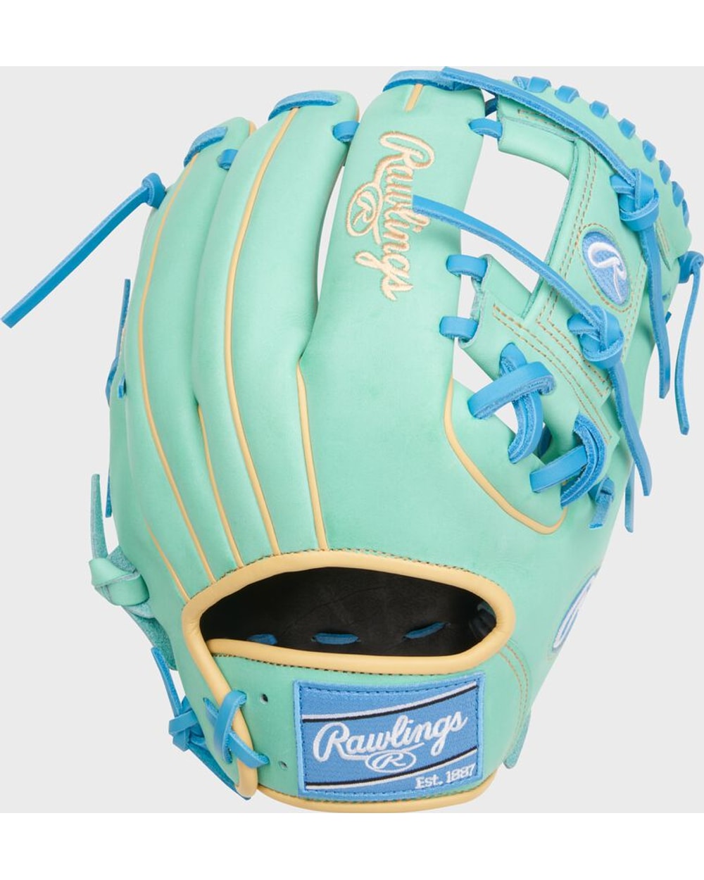 Rawlings Heart of the Hide Glove