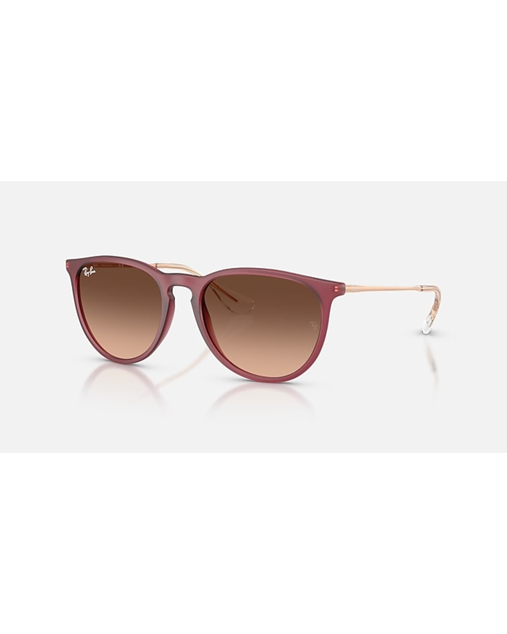 Ray-Ban Erika Classic
