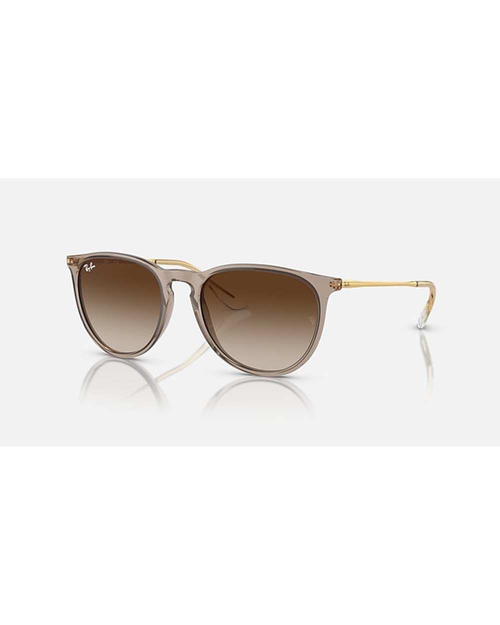 Ray-Ban Erika Classic