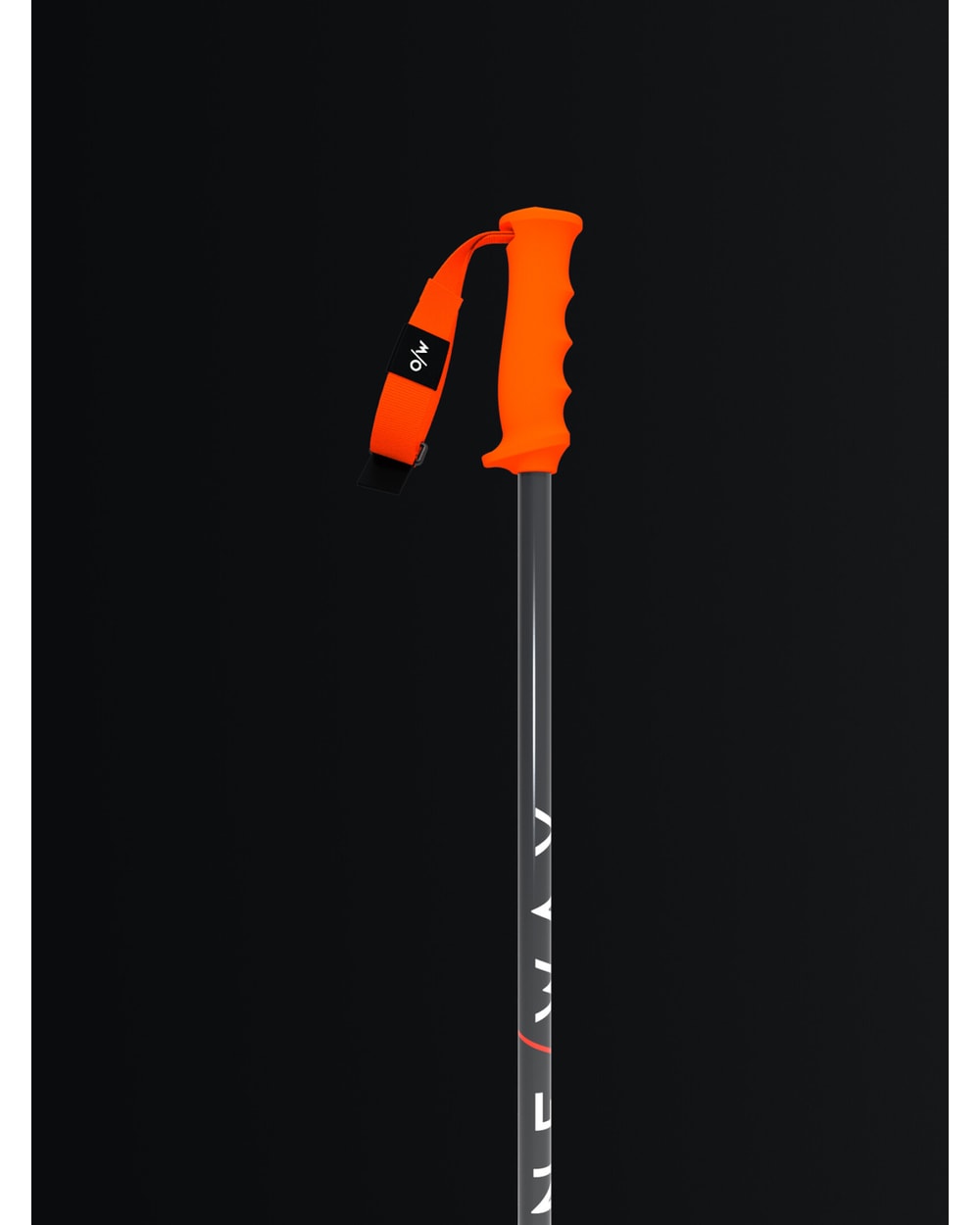RD SL Junior Poles