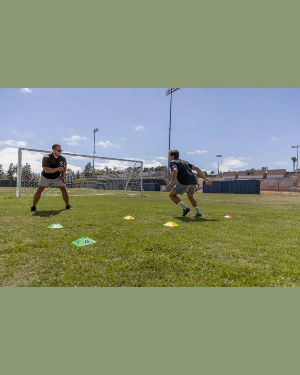 Sklz Reactive Agility Coach