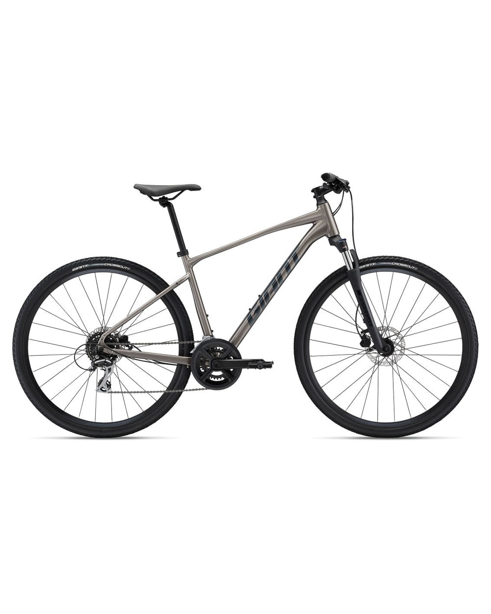 Giant Roam Disc 3