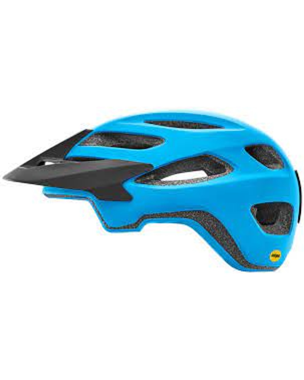Roost Mips Helmet