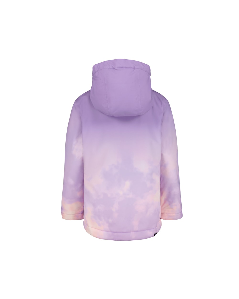 Roxy Girls' Bluebird Snow Jacket - Sunlit Allium - back