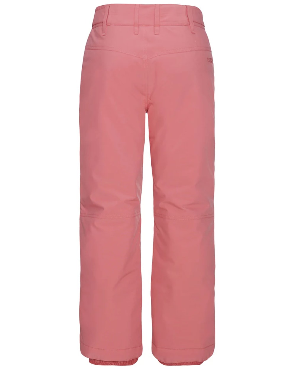 Roxy Girl's Youth Backyard Snow Pants