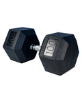 Rubber Hex Dumbbell - 100lbs