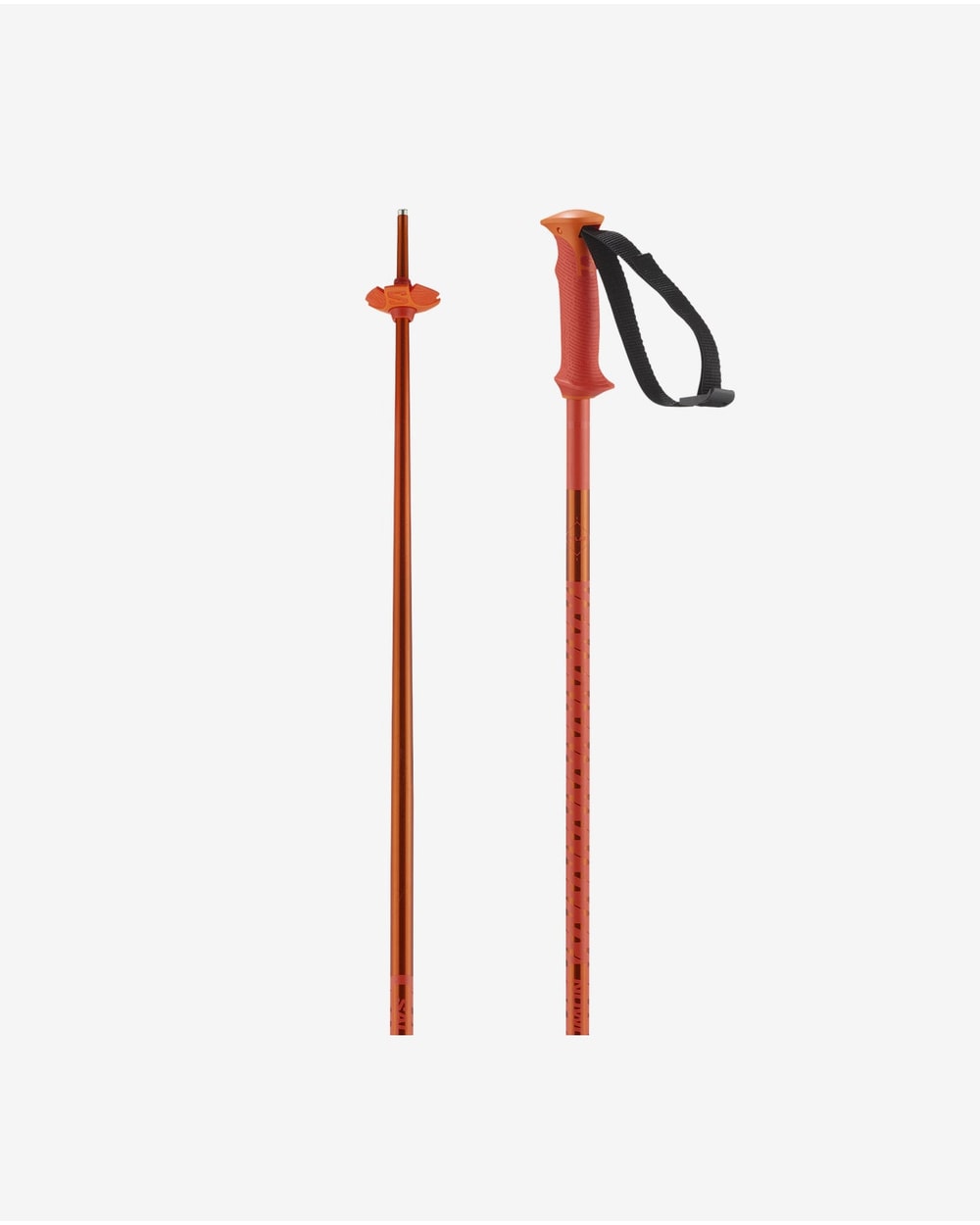 Salomon Men's Polar Ski Poles