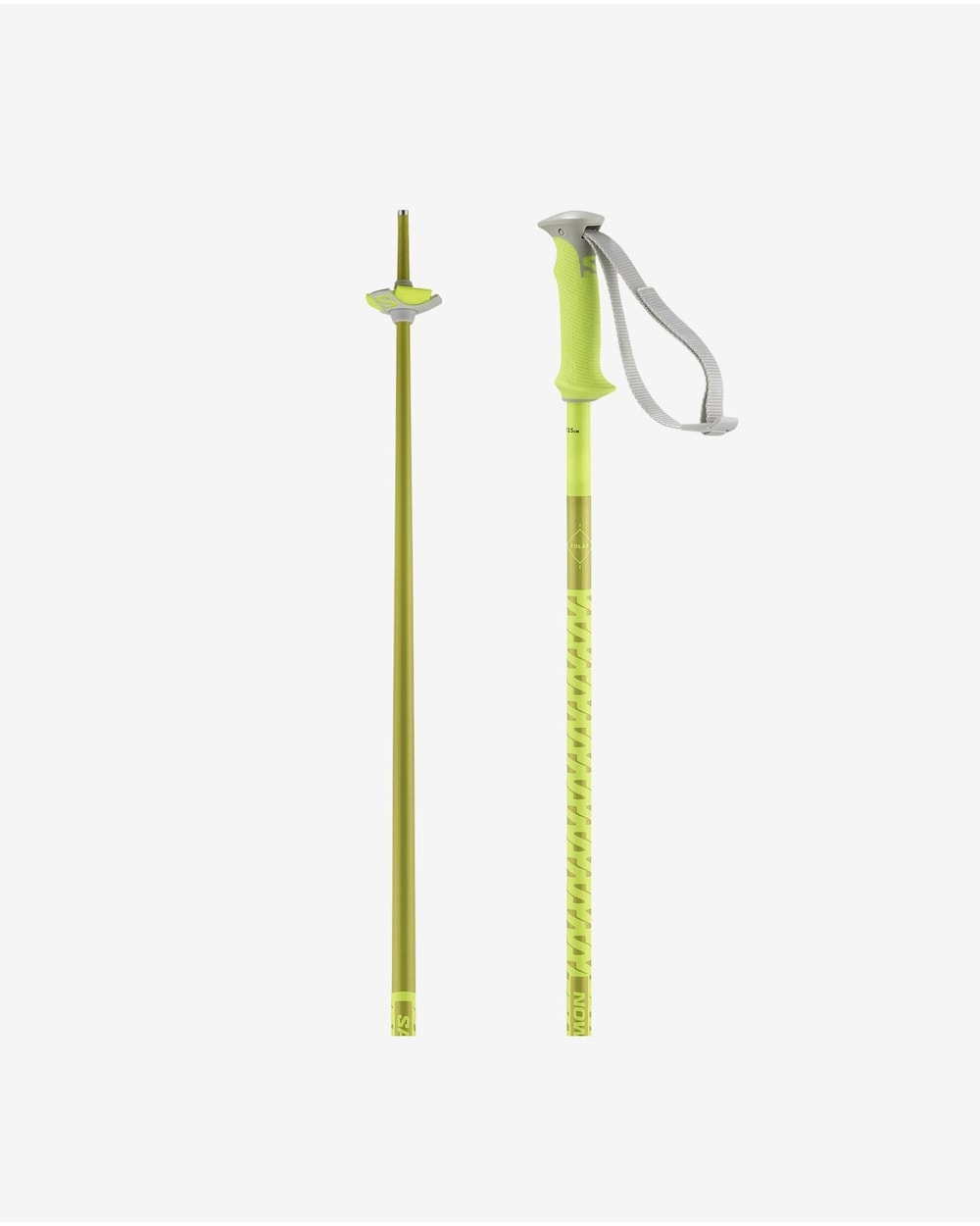 Salomon Men's Polar Ski Poles