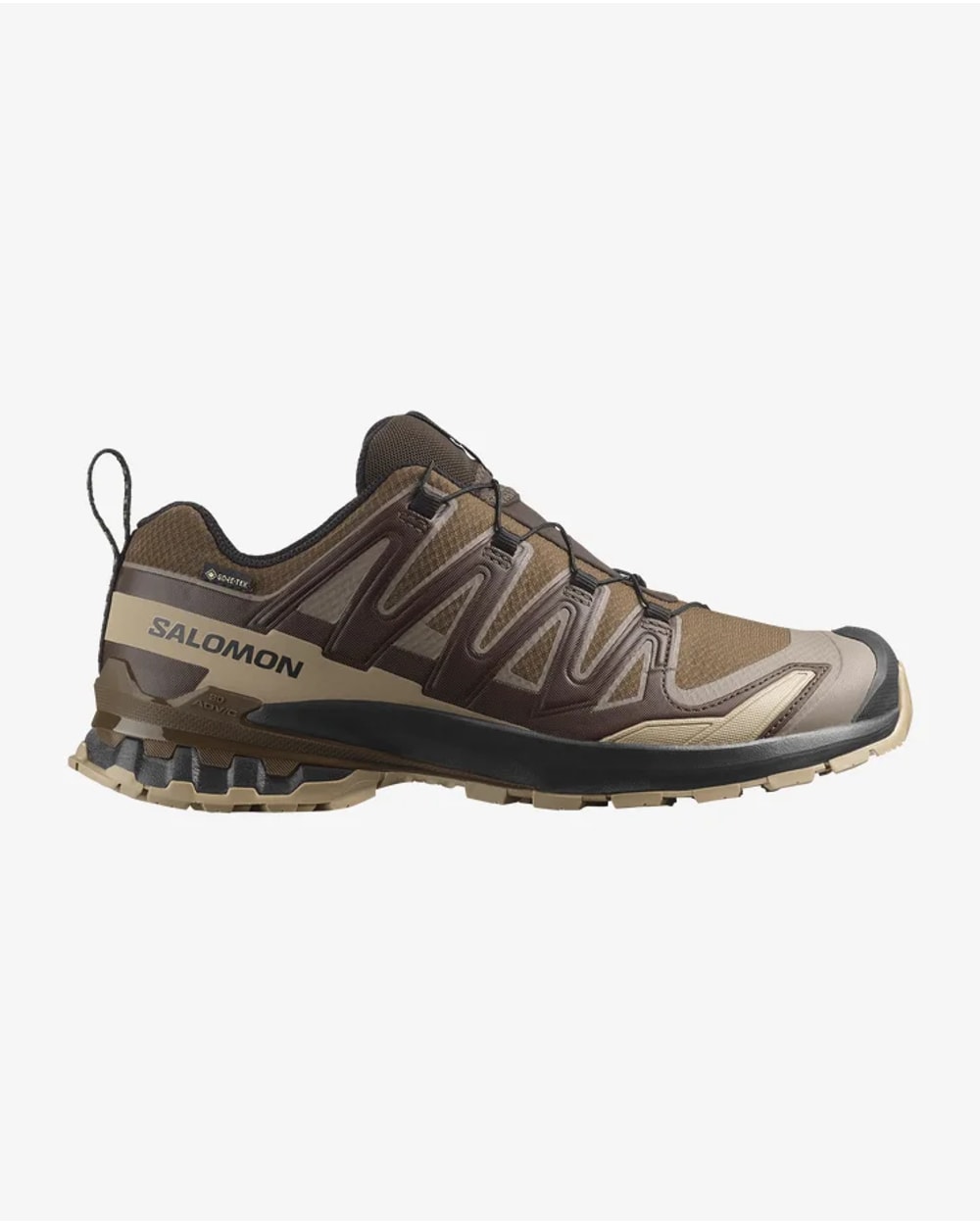 Salomon Men's XA PRO 3D V9 GORE-TEX Trail Running Shoes