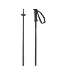 Salomon Polar Access unisex alpine ski poles