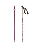 Salomon Polar unisex alpine ski poles