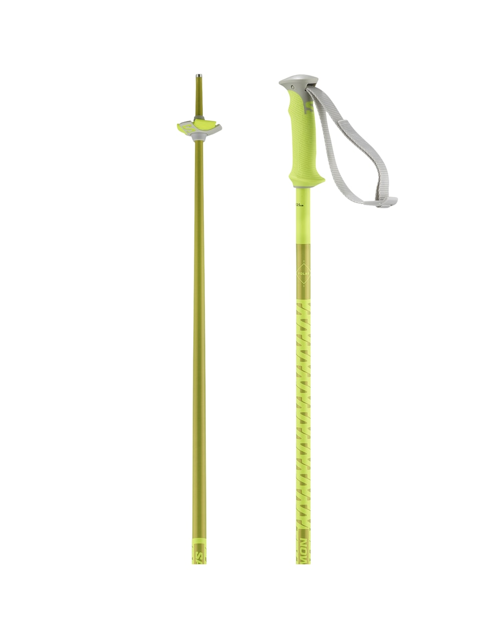 Salomon Polar unisex alpine ski poles