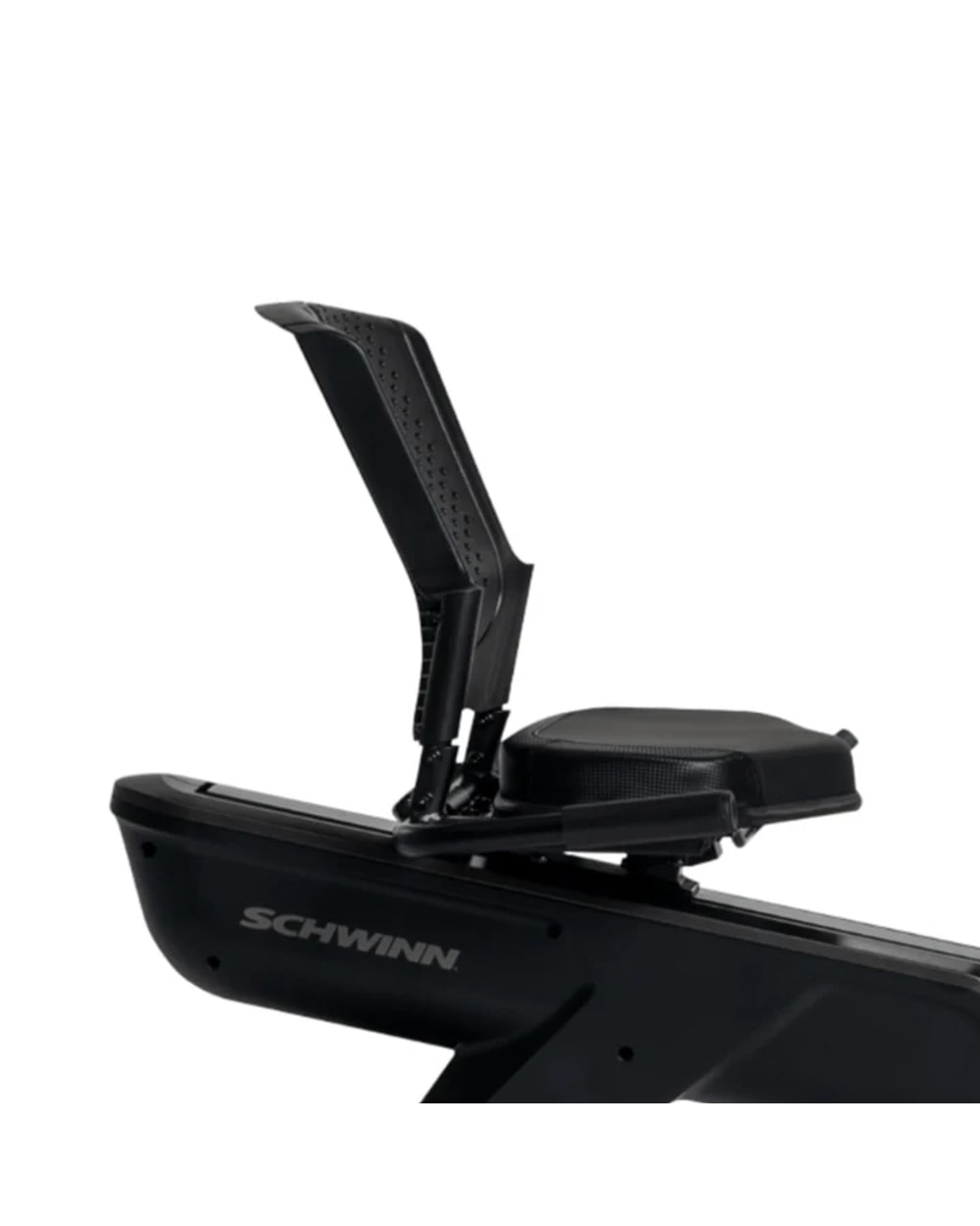 Schwinn 290 Recumbent Bike