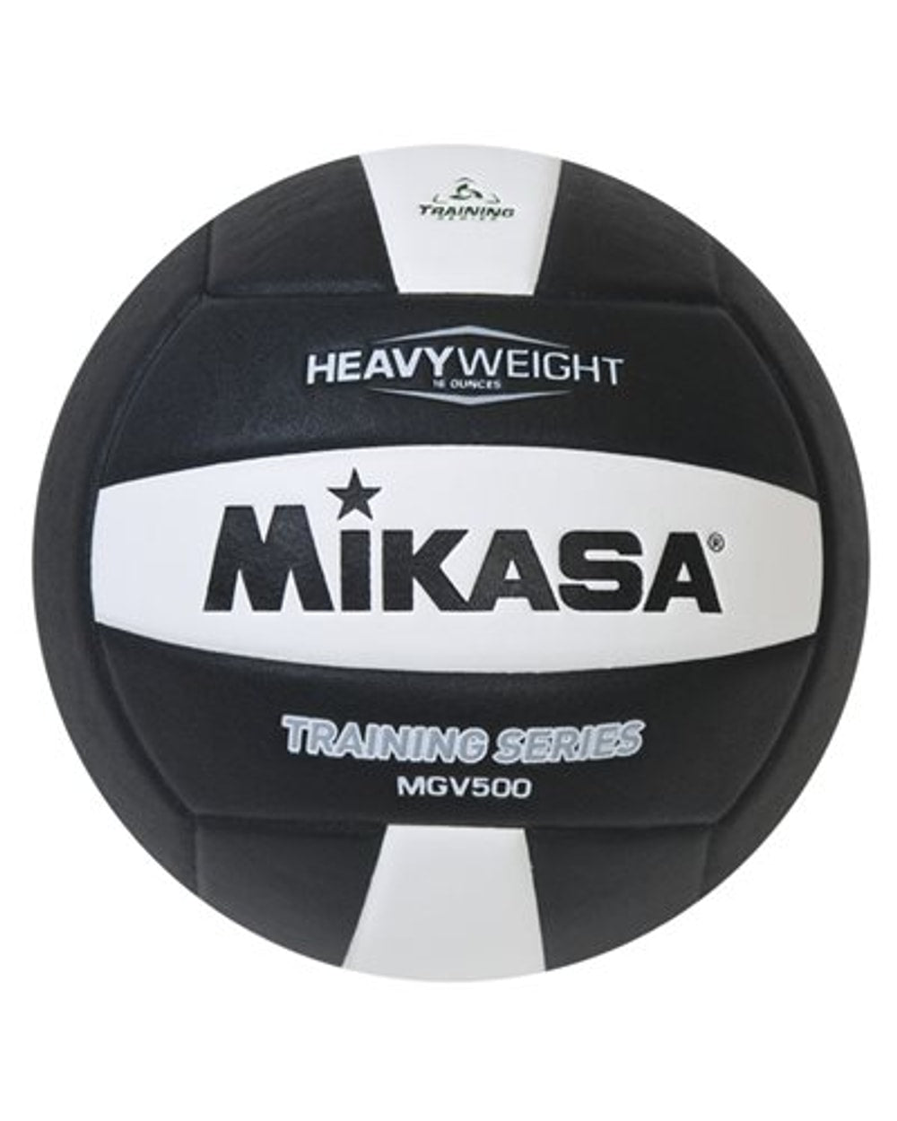 Setter's Training Volleyball