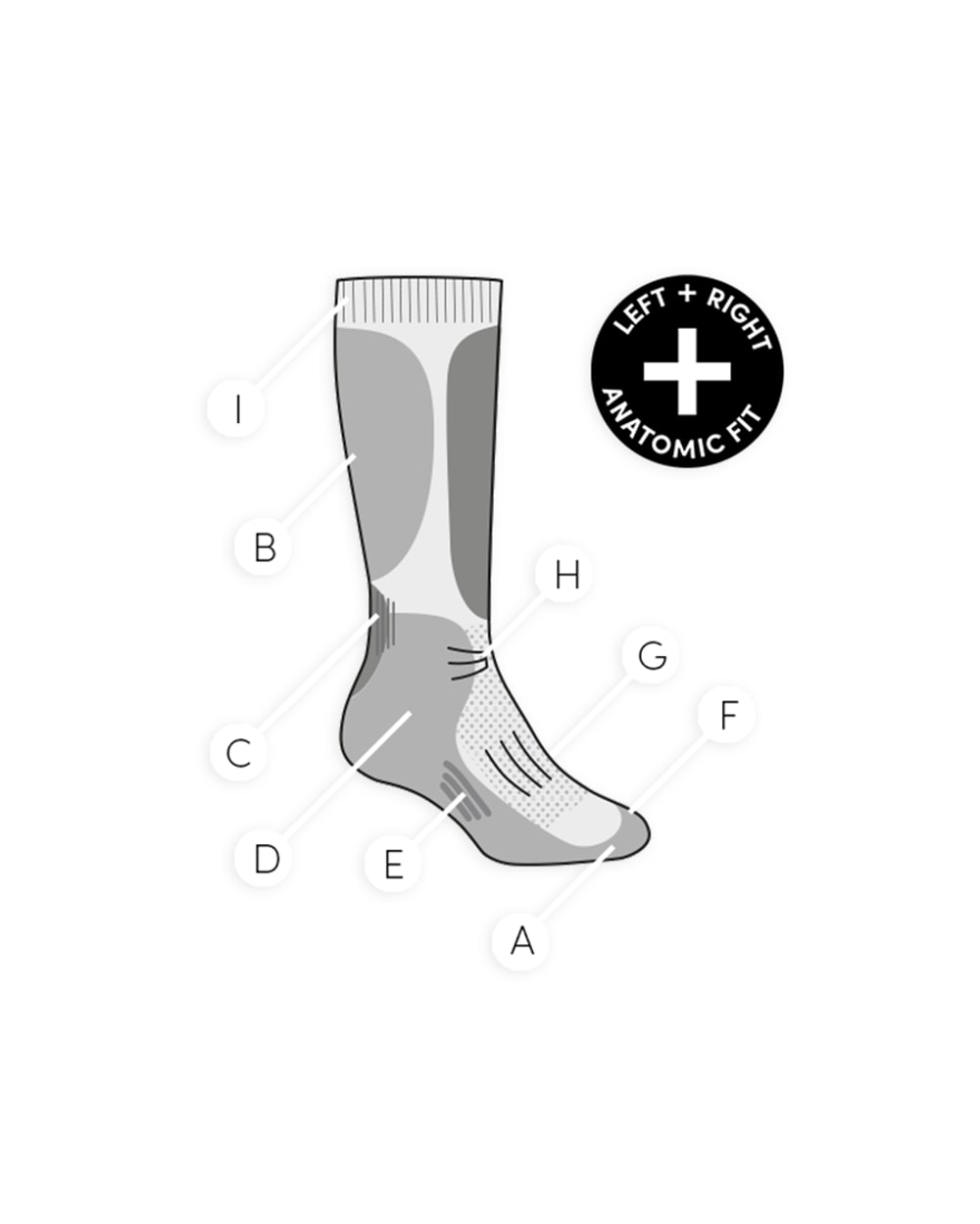 Men's Ski+ Medium Over the Calf Socks