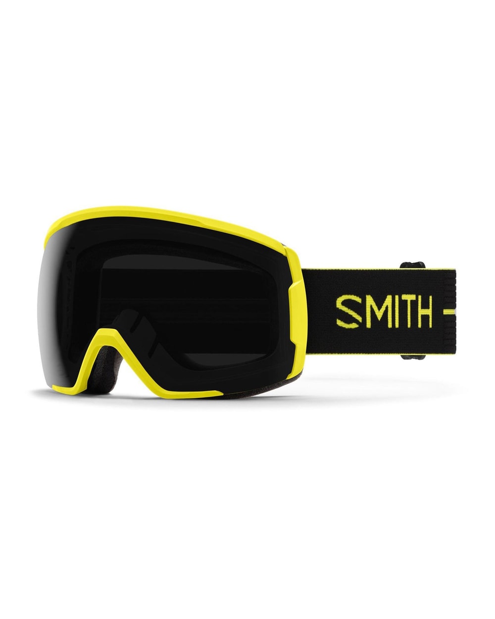 Smith Proxy Goggle