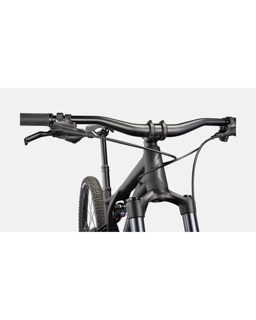 Stumpjumper Alloy