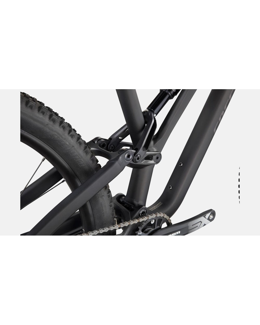 Stumpjumper Alloy