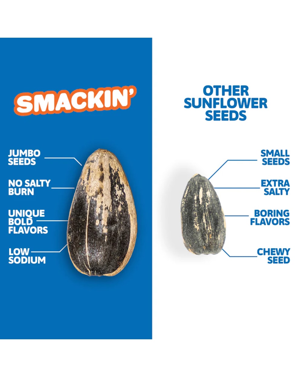 Sunflower Seeds - 1.5oz