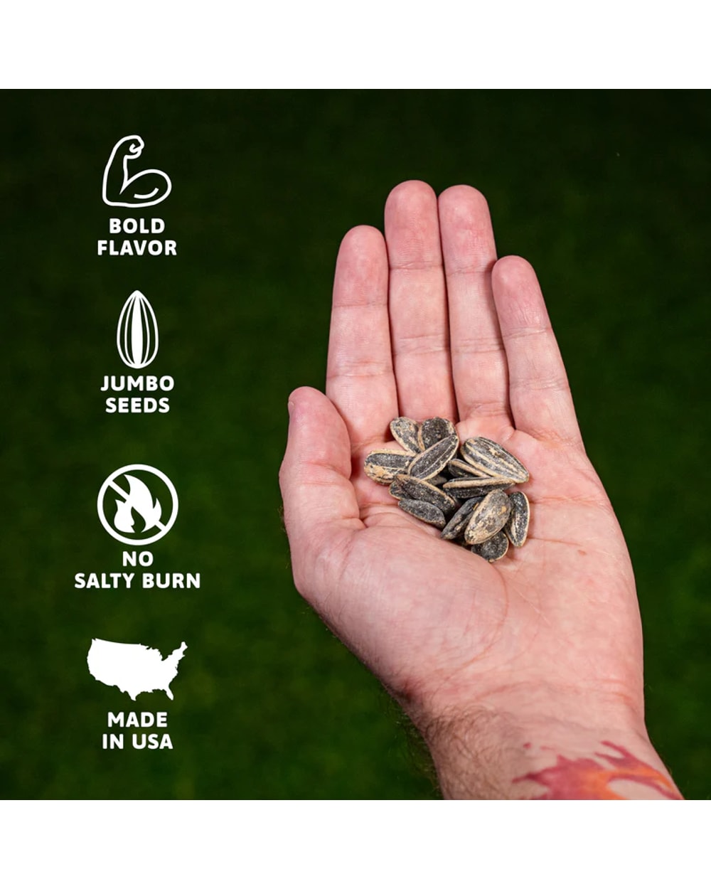 Sunflower Seeds - 4oz