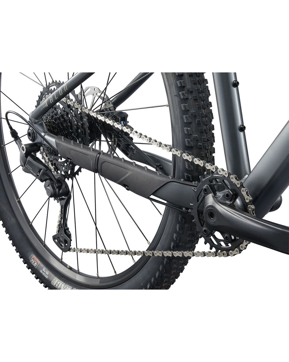 Giant Talon 1 - 2025