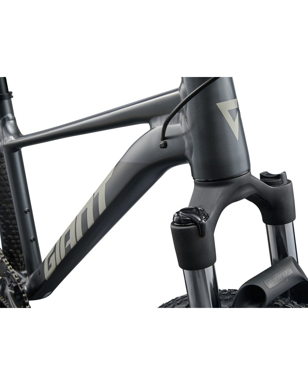 Giant Talon 1 - 2025