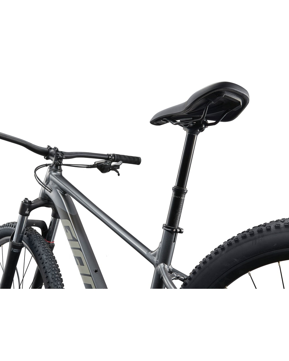 Giant Talon 1 - 2025