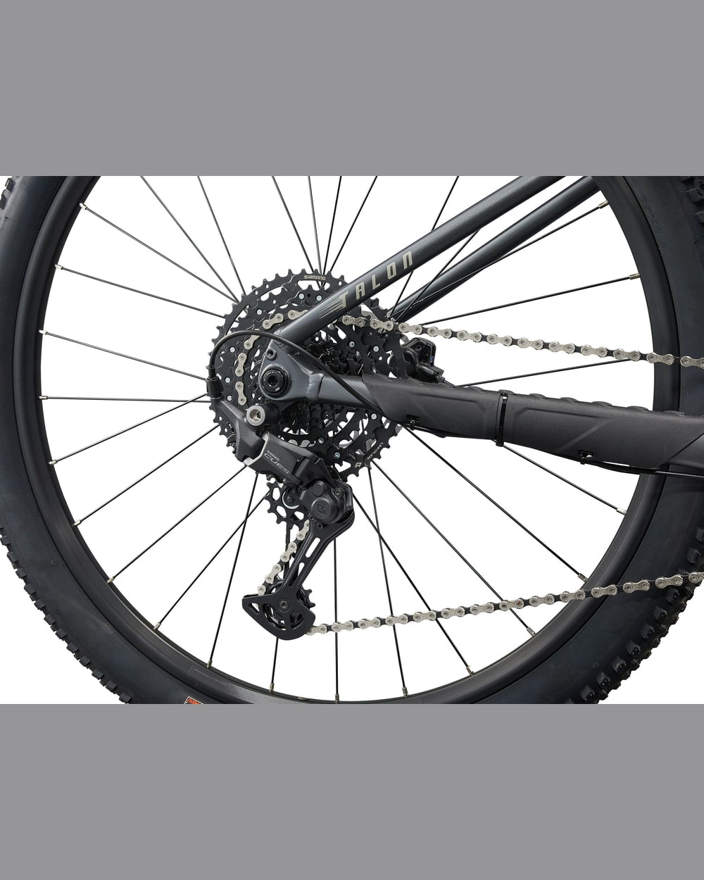 Giant Talon 1 - 2025