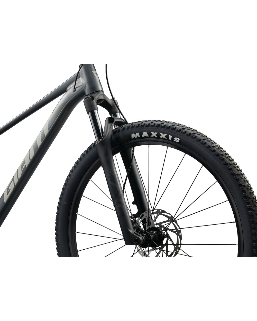 Giant Talon 1 - 2025