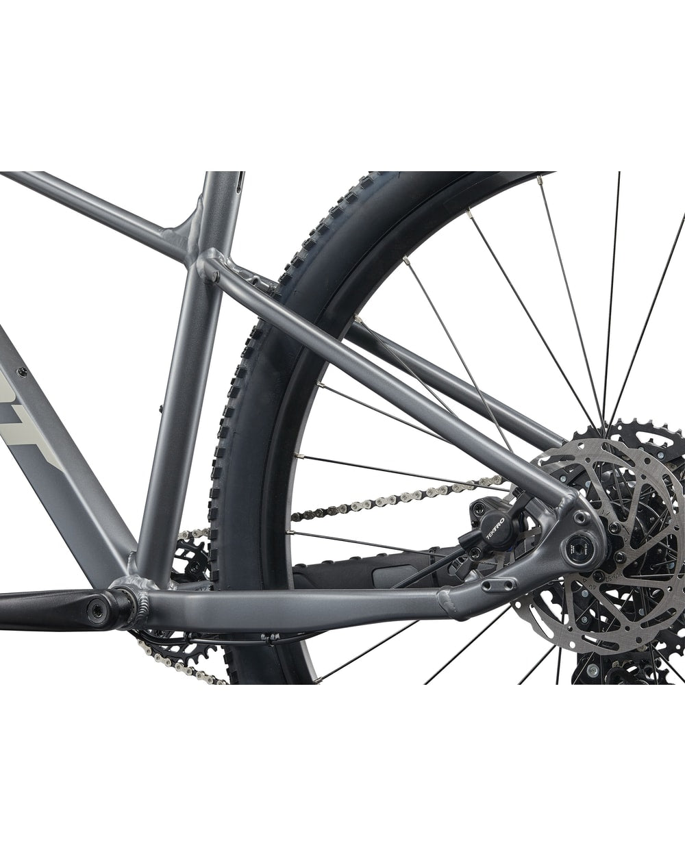 Giant Talon 1 - 2025