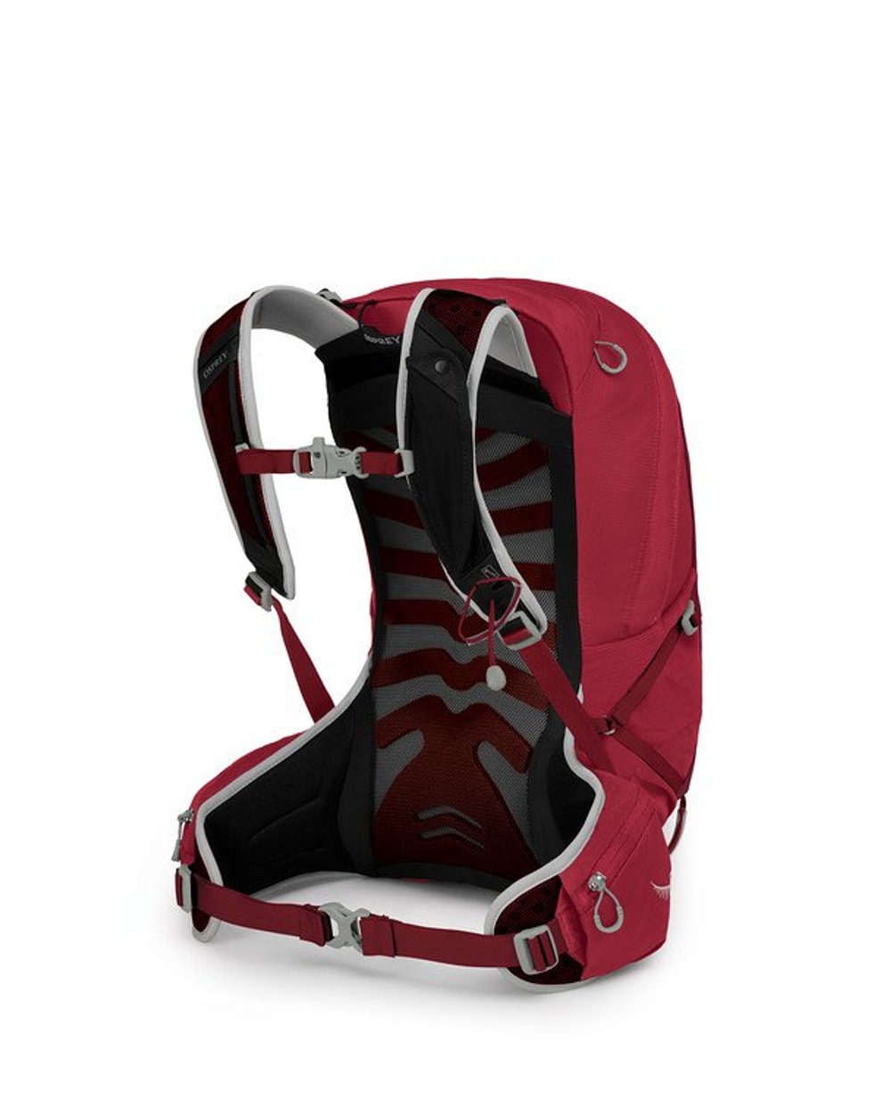 Talon 22 Men's Backpack