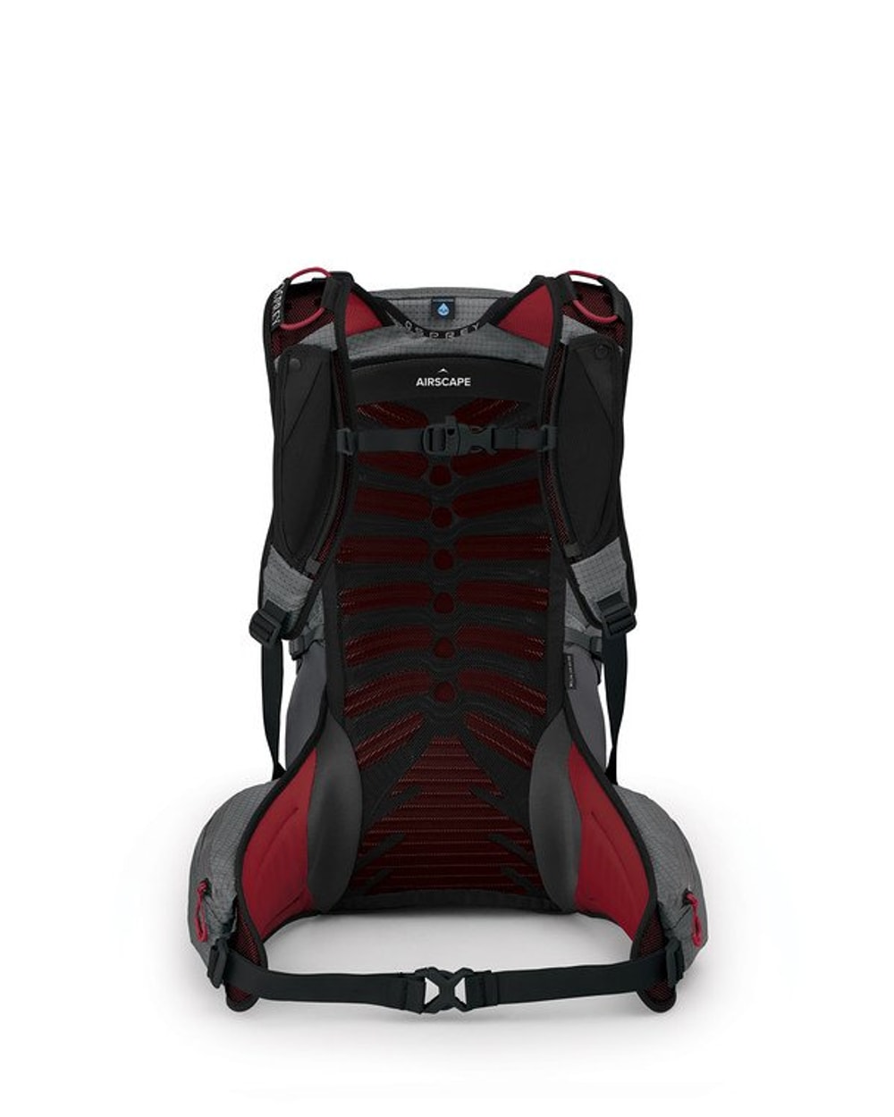Talon Pro 20 Men's Backpack