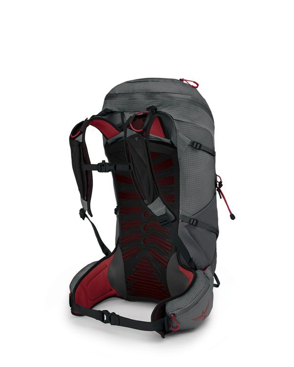 Talon Pro 30 Men's Backpack